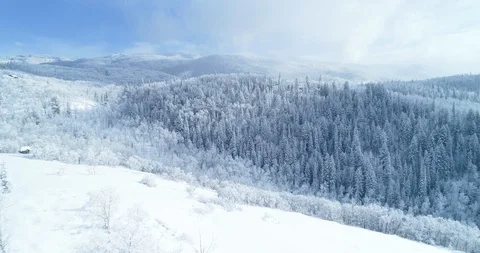 Aerial view above snow covered tree forest and winter mountain landscape Stock Footage