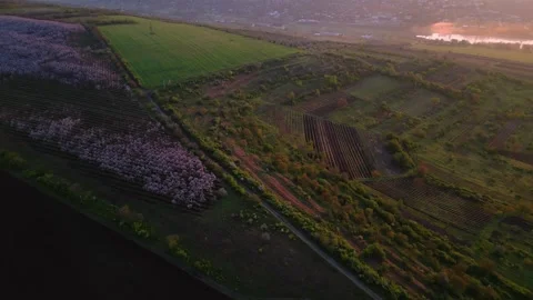 Aerial view above the spring fields of Moldova Stock Footage 243490075