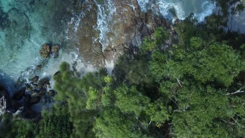 Aerial view above trees next to a beautiful white sand beach. Stock Footage 279876178