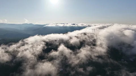 Aerial View Above White Clouds with Lush Green Forest Below and Blue Sky Vídeos de archivo 334246193
