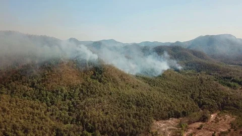 Aerial View Above WildFire Burning Forest Stock Footage 127744309