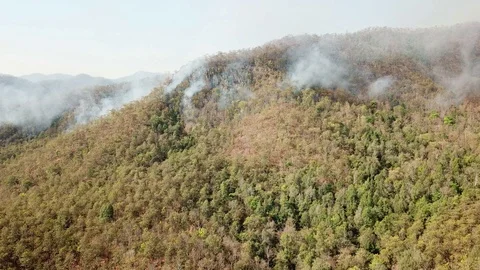 Aerial View Above WildFire Burning Forest Stock Footage 127744346