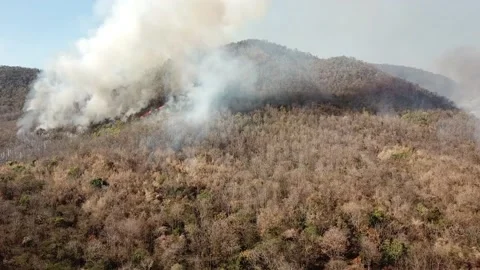Aerial View Above WildFire Burning Forest Stock Footage 233239373
