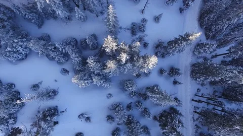 Aerial View Above A Winter Forest Stock Footage 70257353