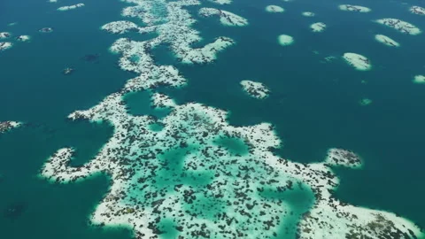 Aerial View of Abstract Patterns in Kakaban Lake, Derawan Archipelago Vídeo Stock 345353740