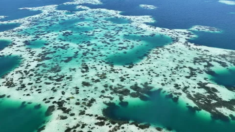 Aerial View of Abstract Patterns of Sand and Algae in Kakaban Lake, Indonesia Vídeo Stock 345180988