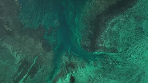 Aerial view of abstract reef in tranquil blue ocean, Apia, Tuamasaga, Samoa. Stock Footage 303969644