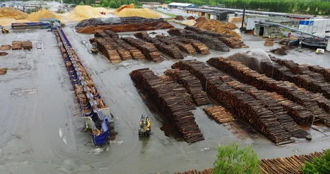 Aerial view of activity at sawmill yard with stacked logs being sprayed wet Stockbeeldmateriaal 249171697