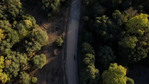 Aerial view of an Adaptive athlete doing a training ride on his handcycle Video stock 221429681