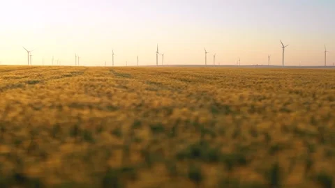Aerial view of aeolian generators wind turbine farm in a wheat field Wind energy Stock-Footage 150590906