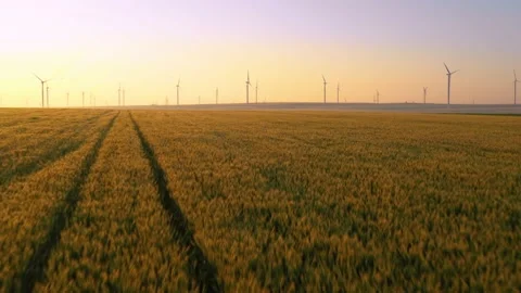 Aerial view of aeolian generators wind turbine farm in a wheat field Wind energy Stock Footage 150591912