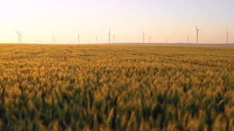 Aerial view of aeolian generators wind turbine farm in a wheat field Wind energy Stock Footage 150625025