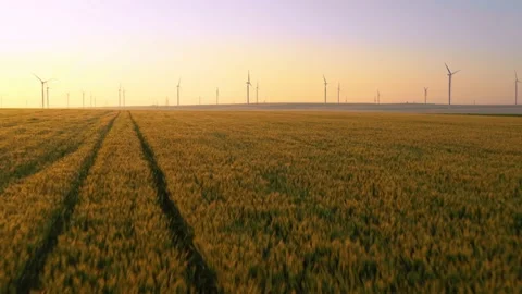 Aerial view of aeolian generators wind turbine farm in a wheat field Wind energy Video stock 150625234