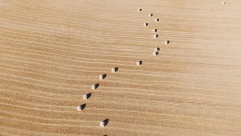 Aerial view of an aerial perspective of round hay bales arranged in a gentle Stock Footage 346669888