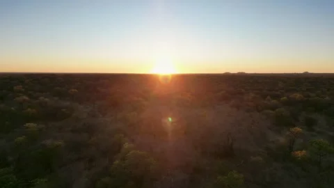 Aerial view african sunset over bush typical in southern africa, bushveld i.. Stock Footage 313636131