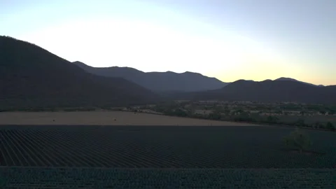 Aerial View of Agave Fields Stock Footage 248091222