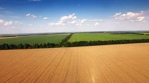Aerial view of agrarian fields. Stock Footage 64880589