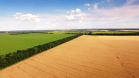 Aerial view of agrarian fields. Stock Footage 64881905