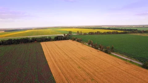 Aerial view of agrarian fields. Stock Footage 64918826