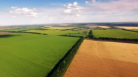 Aerial view of agrarian fields. Stock Footage 64919423
