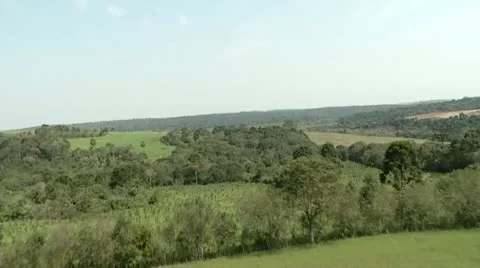 Aerial view of agricultural area Stock Footage 12013353