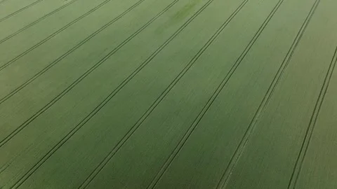 Aerial View of Agricultural Field with Parallel Crop Rows in Motion Stock-Footage 315219196
