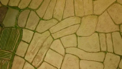 Aerial view of an agricultural field pattern Stock Footage 312535389