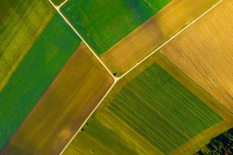 Aerial view of an agricultural field in Switzerland during autumn with a drone Stock Photos