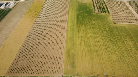 Aerial view of agricultural fields and rural landscape in Spain Stock Footage 336285317