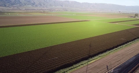 Aerial view of agricultural fields in California, United States. Salinas valley. Stock Footage