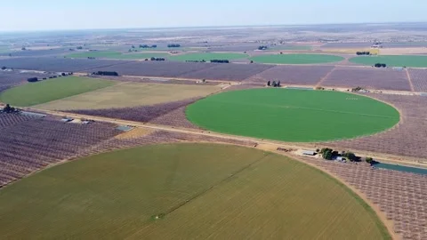 Aerial view of agricultural fields with circular irrigation patterns and varied Stock Footage 308956504