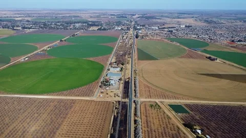 Aerial view of agricultural fields with circular irrigation patterns and a long Stock Footage 308969206