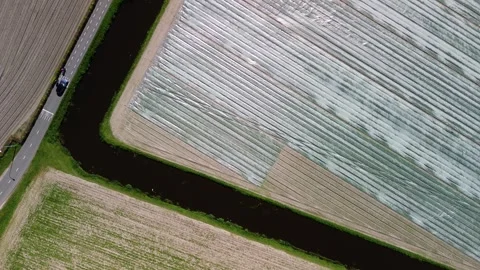 Aerial view of agricultural fields divided by a road and canal, with a car Video stock 310609292