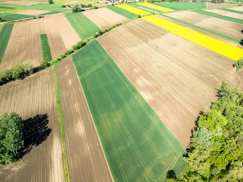 Aerial view of agricultural fields divided into geometric parcels with green Stock Photos