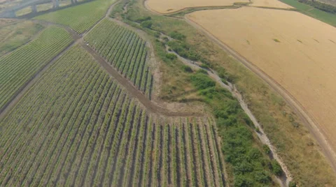 Aerial view of agricultural fields, Video stock 40270778