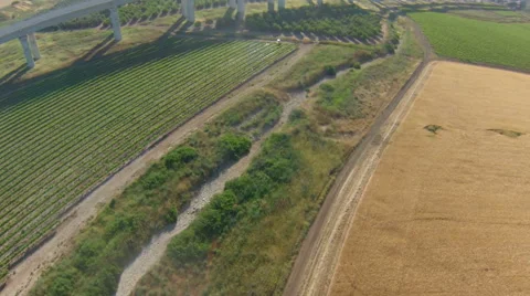 Aerial view of agricultural fields, Stock Footage 40270942