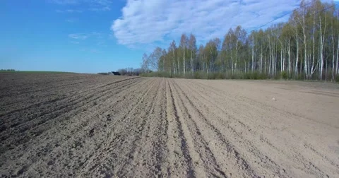 Aerial view of agricultural  fields. Stock-Footage 63116260