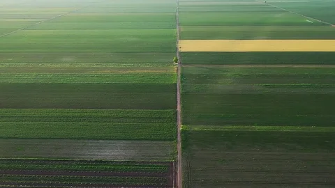 Aerial view of agricultural fields. Stock Footage 109596921