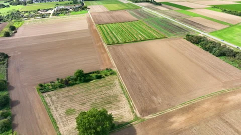 Aerial view of agricultural fields Видео 250969852