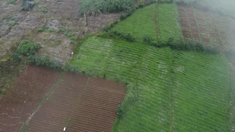 Aerial View of Agricultural Fields Stock Footage 280096133