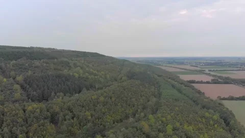 Aerial View Of Agricultural Fields, Forests, And Hills. Stock Footage 299048931