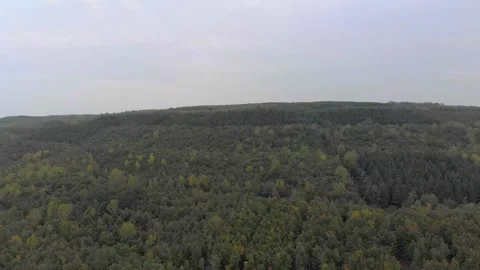 Aerial View Of Agricultural Fields, Forests, And Hills. Video stock 299119755