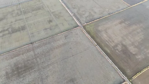 Aerial View of Agricultural Fields With Geometric Patterns Divided By Walls Stock Footage 323927442