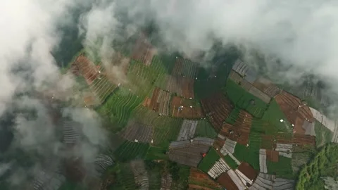Aerial View of Agricultural Fields Hidden Beneath Moving Clouds Stock Footage 341352050