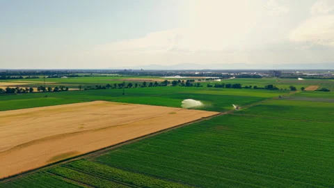 Aerial View of Agricultural Fields with Irrigation Sprinkler System 库存影片 338362941