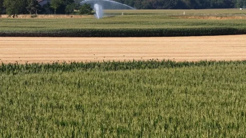 Aerial view of agricultural fields with irrigation in France. Stock Footage 339632643