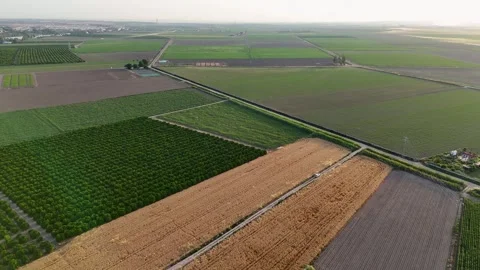 Aerial view of agricultural fields patchwork in Andalusia Stock-Footage 335866182