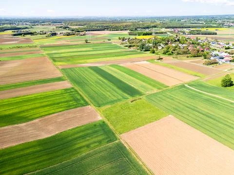 Aerial view of agricultural fields with patchwork pattern of green crops and Foto stock