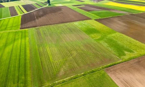 Aerial view of agricultural fields patchwork with green crops and plowed brown Stock Photos