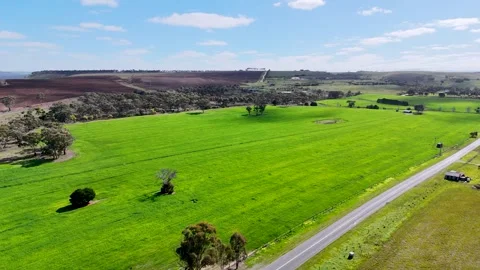 Aerial view of agricultural fields in Rowsley, Victoria Australia. 스톡 동영상 344910021